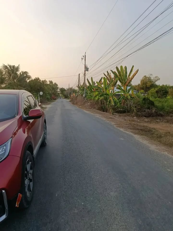 Đất Nền Ấp 3, Mỹ Quý Đông, Đức Huệ 7000m² - Tiềm Năng Tăng Giá Vượt Trội!