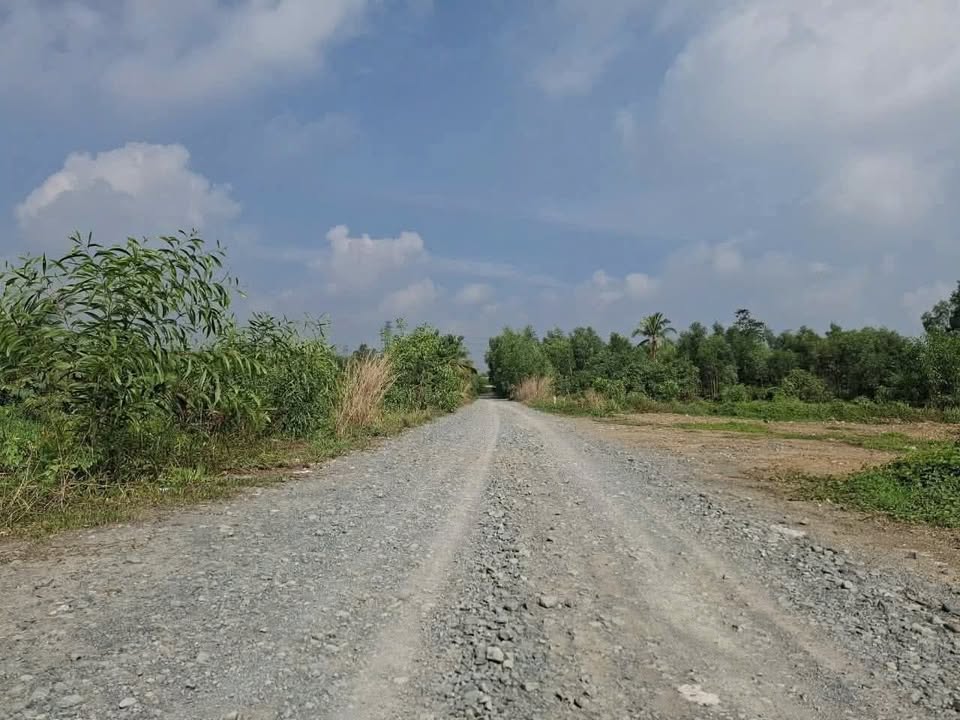 Đất nền Đức Hòa 1.190m² 4.8 tỷ - Sổ đỏ chính chủ