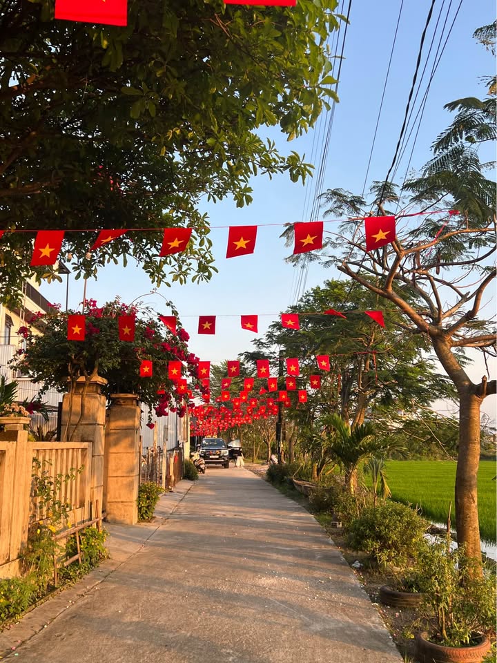 Đất nền Thuận Hóa 152m² - Sổ đỏ chính chủ, view ruộng đẹp