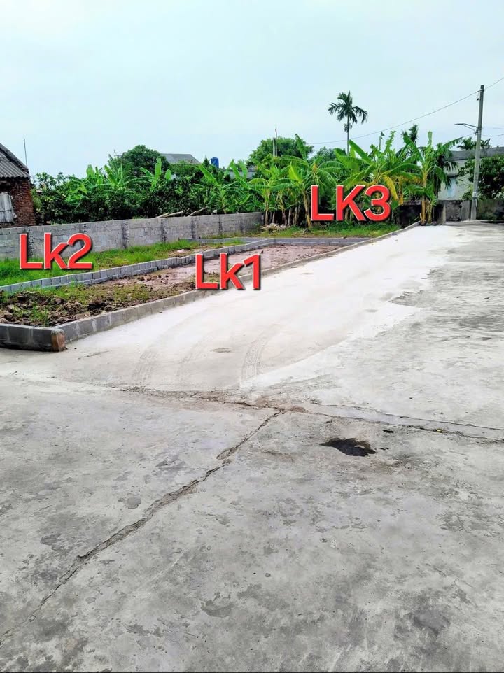 Đất nền Đông Trà, Tiền Hải 81m² giá 750 triệu - Đường to ô tô!