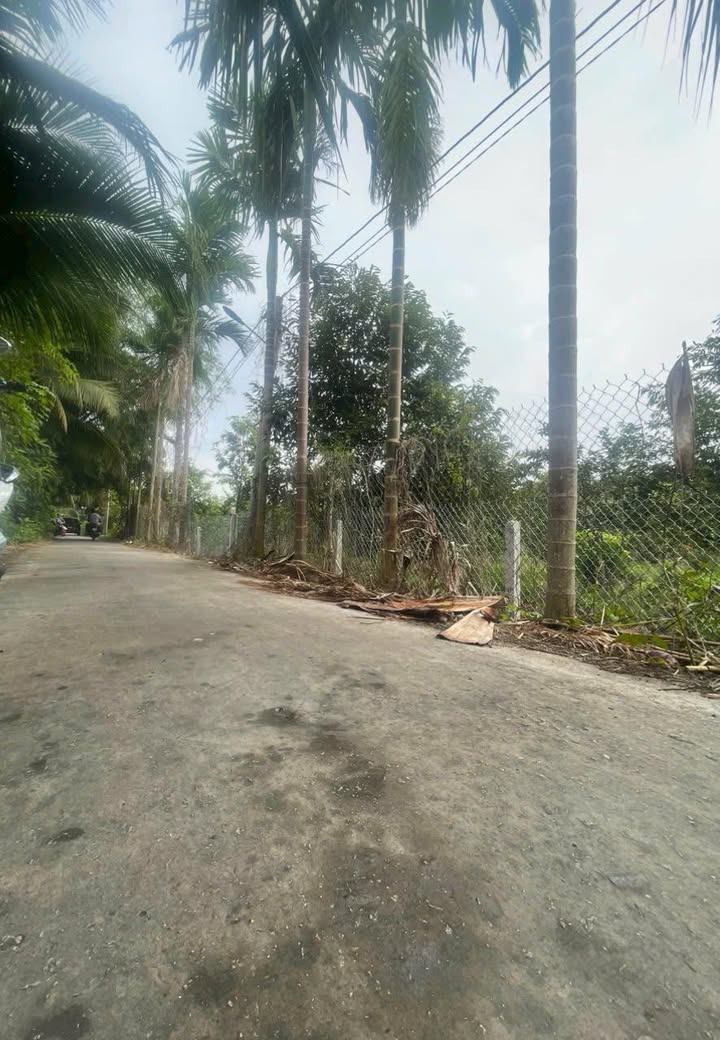 Đất Sổ Hồng An Lạc Tây, Kế Sách 531m² - Giá Tốt 400 Triệu