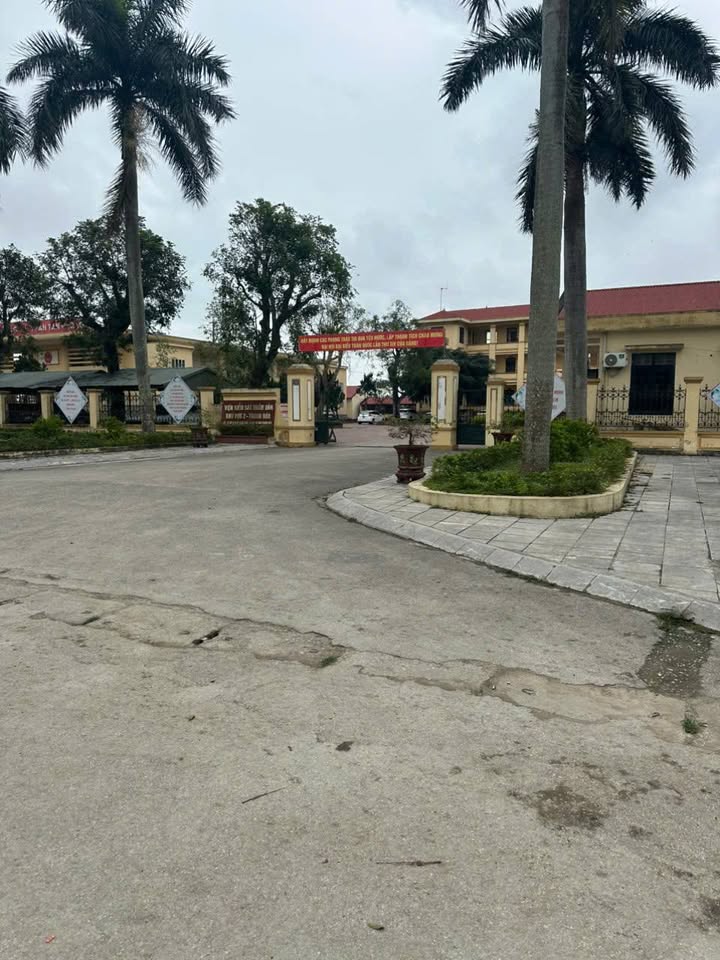 Đất nền Sổ hồng Tân Phong, Quảng Xương - 116m² - Chỉ hơn 800 triệu