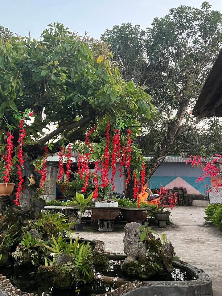 Đất nền Krông Pắc 342m² - Sổ đỏ chính chủ, tiềm năng tăng giá!