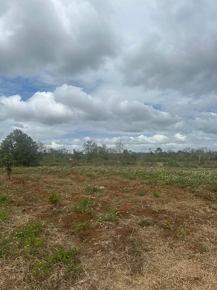 Đất nền Buôn Hồ 2880m² giá 1.76 tỷ - Tiềm năng tăng giá vượt trội!