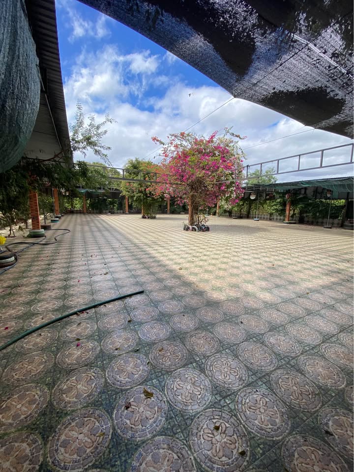 Đất nền Tỉnh lộ 1, Buôn Đôn 1020m² - Tiềm năng tăng giá vượt trội!