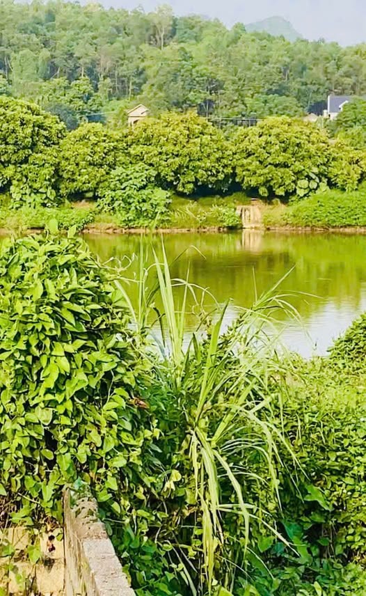 Đất nền Lương Sơn 200m² view hồ - Giá 9xx triệu, sổ đỏ sẵn sàng