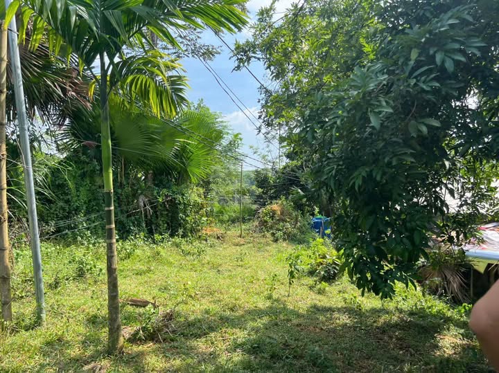 Đất nền Lạc Sơn, Hòa Bình 675m² giá 320 triệu - Sổ đỏ chính chủ!