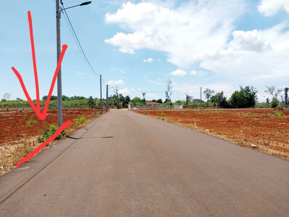 Đất 200m² Đường 79A Bà Rịa - Sổ Đỏ Thổ Cư 100% - Giá 1.45 Tỷ