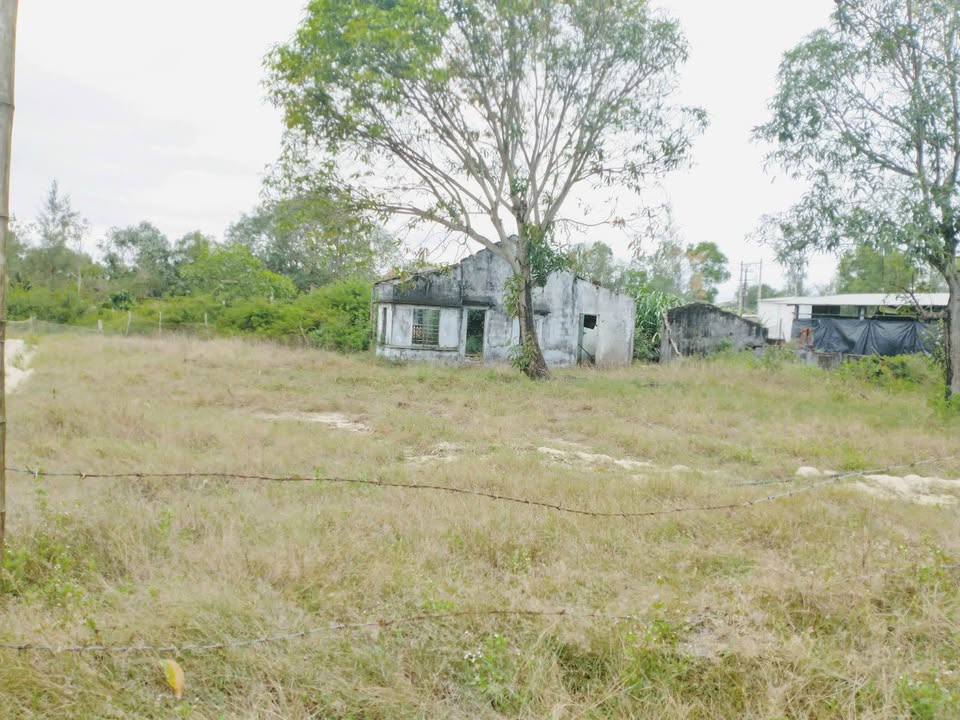 Đất nền Tam Hòa Núi Thành 800m² giá 1.52 tỷ - Sổ đỏ chính chủ!