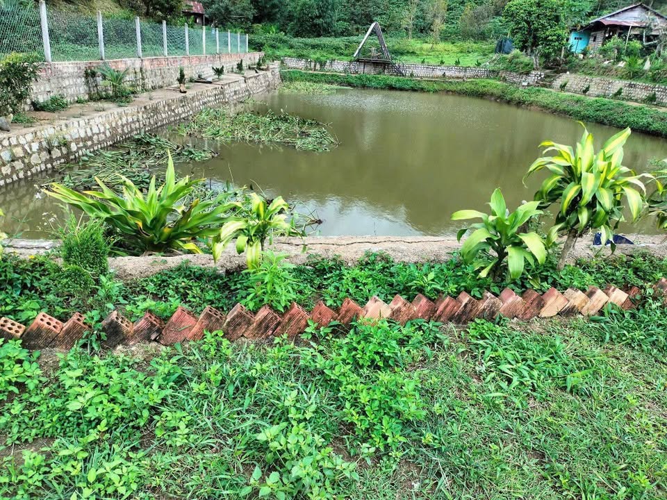 Đất Nền Nghỉ Dưỡng Bảo Lâm 10.498m² - Sổ Đỏ Sẵn Sàng