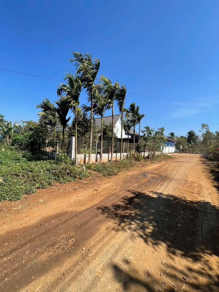 Đất nền Cuôr Đăng 111m² giá 465 triệu - Pháp lý rõ ràng!