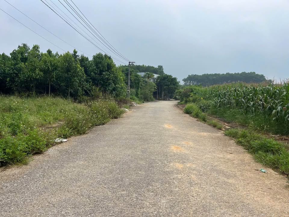 Đất nền TP. Yên Bái 330m² giá 1.3 tỷ - Sổ đỏ chính chủ xây trọ cực đỉnh!