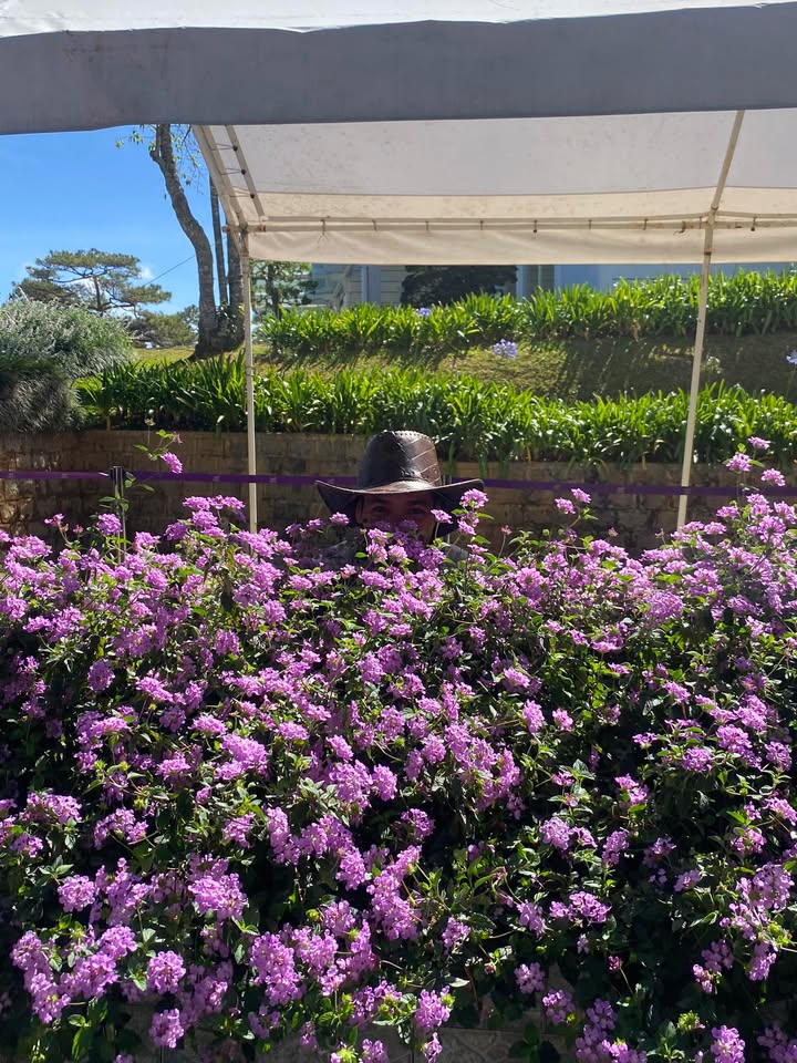 Đất rẫy Đắk Mil 3.9ha giá 2.75 tỷ - Đầu tư dài hạn, sinh lời bền vững!