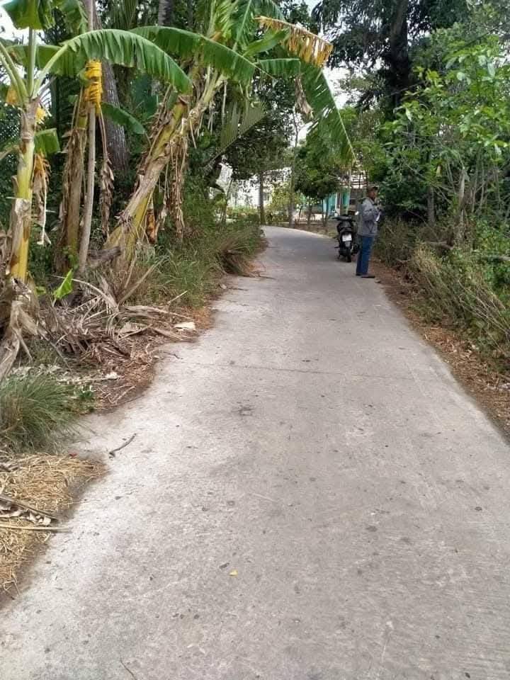 Đất nền An Mỹ 600m² - Mặt tiền ô tô, tiềm năng sinh lời!