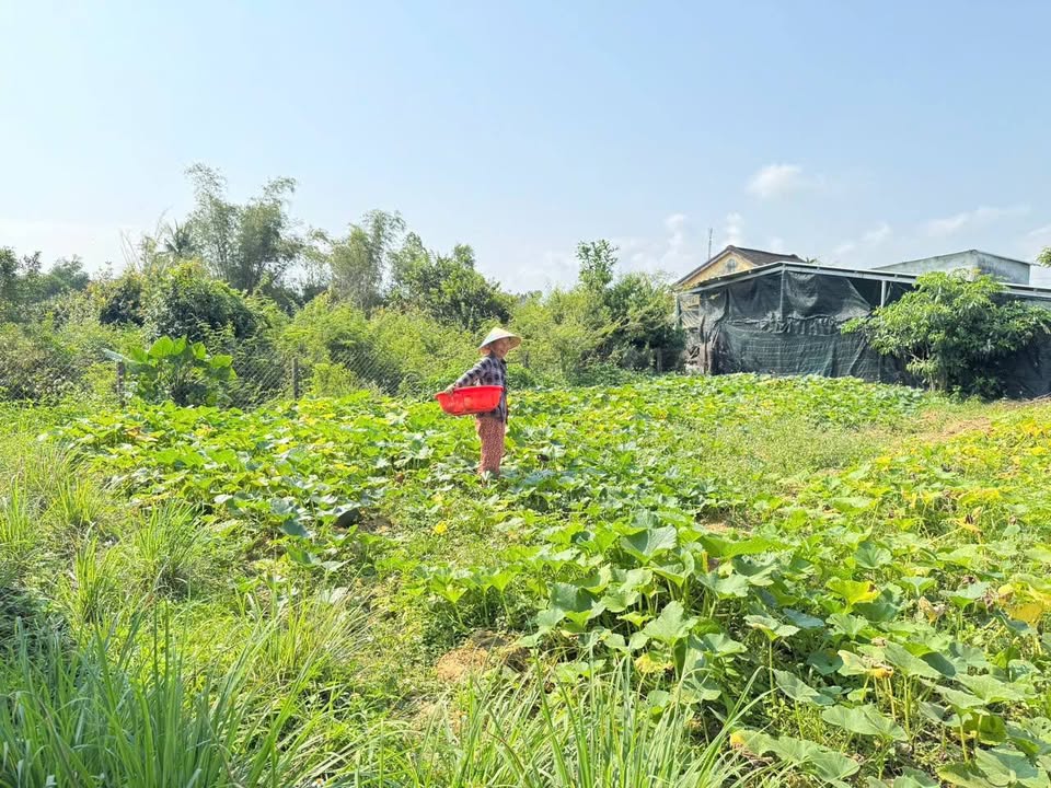 Đất nền Điện Hòa 200m² giá 1.58 tỷ - Tiềm năng tăng giá vượt trội!