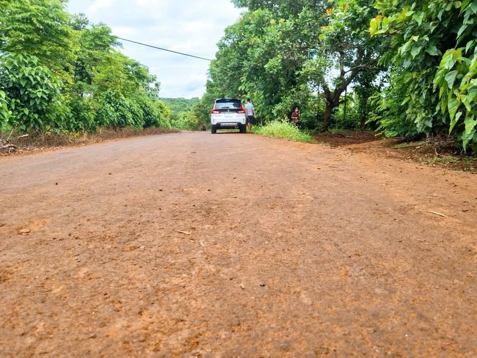 Đất nền QL29B Đông Hòa 906m² 599tr - Đường ô tô