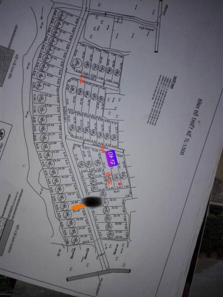 Đất Nền Ven Biển Cát Hải 187m² Sổ Riêng - Tiềm Năng Đầu Tư Hấp Dẫn