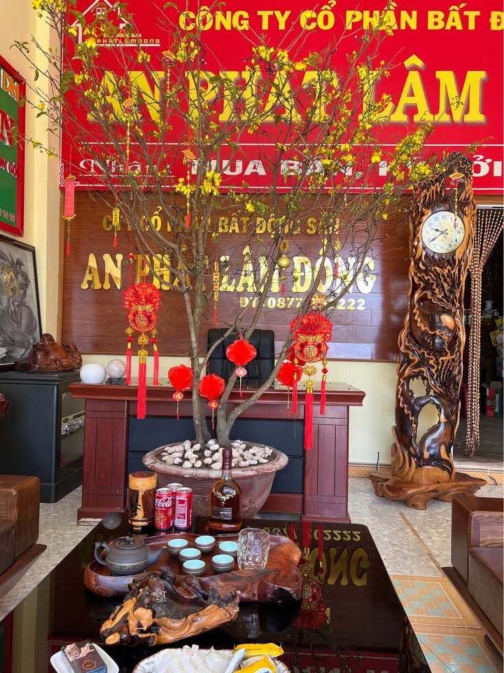 Đất nền Bảo Lâm, Lâm Đồng 2.3ha – Sổ đỏ chính chủ, 2 mặt tiền QL55!