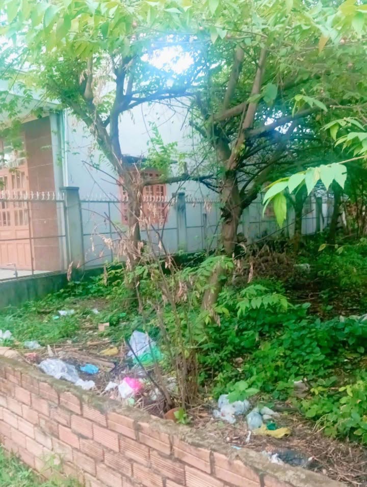 Đất Sổ Đỏ Thái Hòa Tân Uyên 131m² - Cơ Hội Đầu Tư Sinh Lời