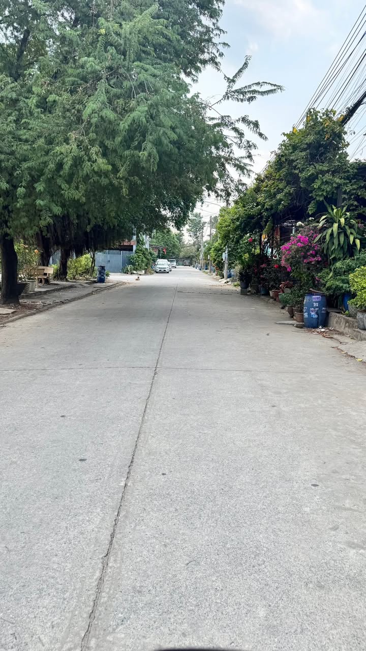 Đất nền Dĩ An 151m² - Sổ hồng riêng, ô tô tránh nhau!