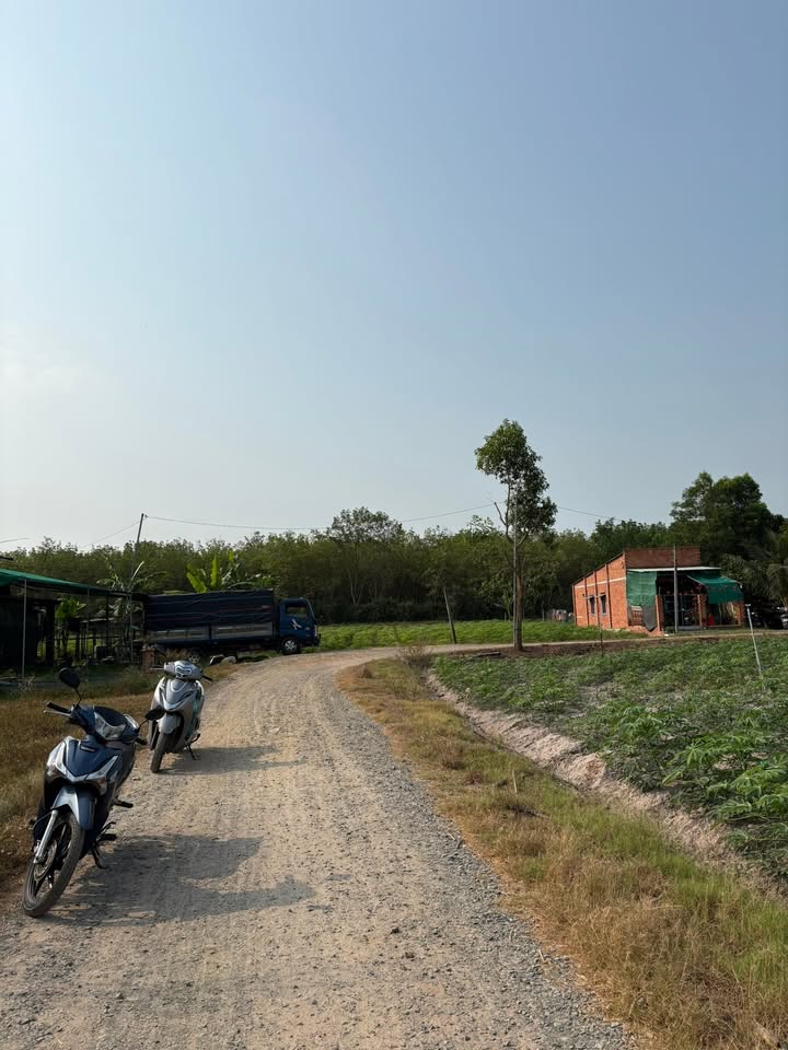 Đất Vàng 1200m² Tân Tạo, Bình Tân - Sổ Hồng, Giá Đầu Tư 84 Tỷ