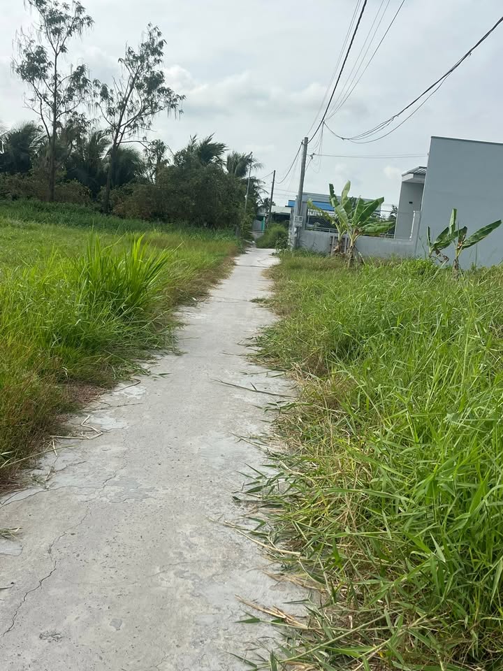 Đất nền Yên Lương, Gò Công 135m² - Tiềm năng tăng giá vượt trội!