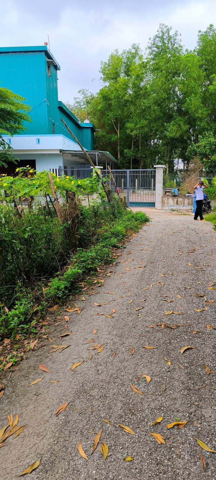 Đất nền La Hà, Tư Nghĩa 60m² chỉ 290 triệu - Đất thổ cư 100%