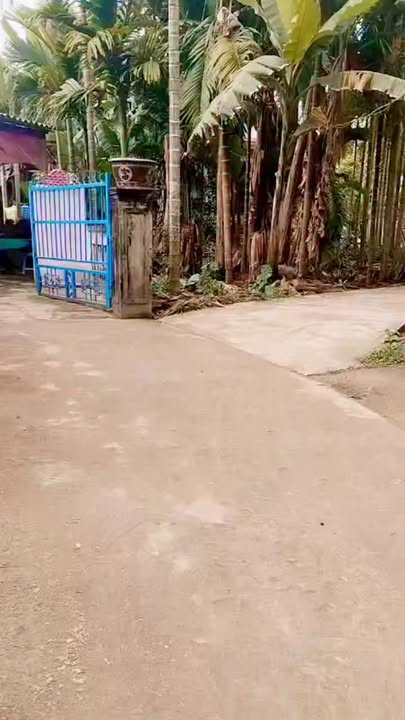 Đất nền Xã Phước Giang, Nghĩa Hành 617m² - Pháp lý rõ ràng!