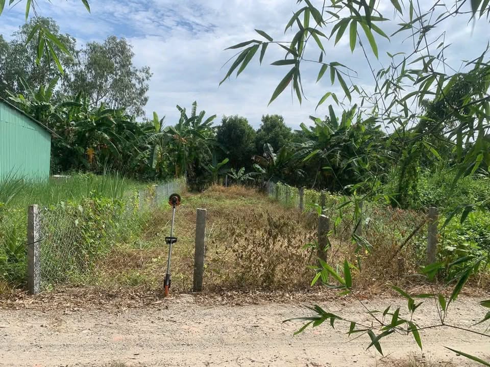 Đất Nền Xã Cần Đăng, An Giang 100m² - Sổ Hồng Sẵn Sàng Giao Dịch