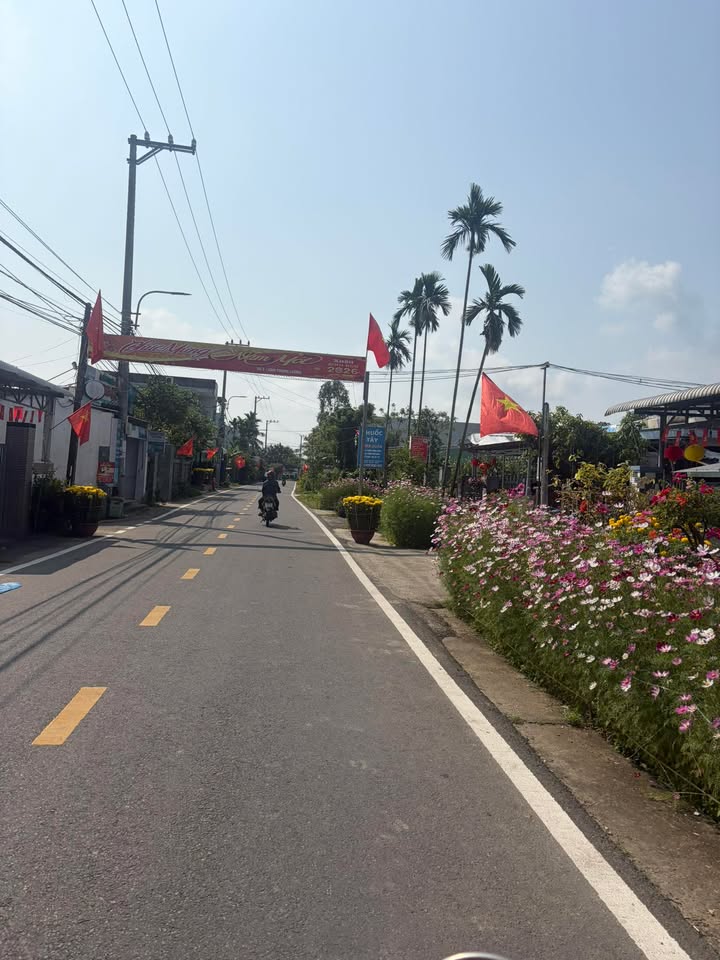 Đất Nền Nam Sơn Đà Nẵng 200m² - Sổ Đỏ, Sẵn Xây Nhà Vườn