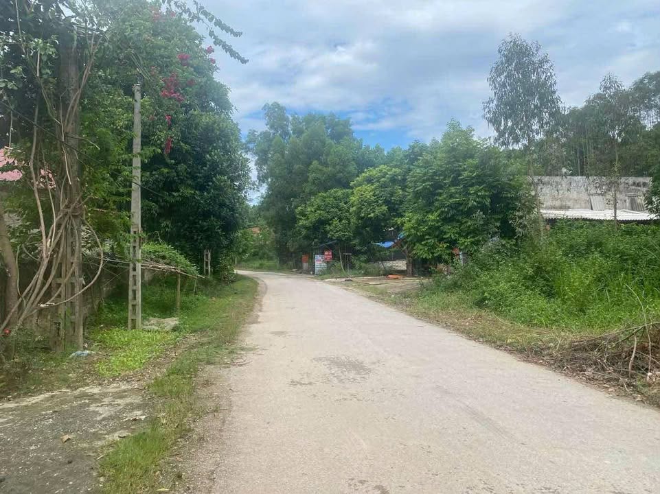 Đất nền Đồng Vương Yên Thế 140m² giá 499 triệu - Sổ đỏ chính chủ