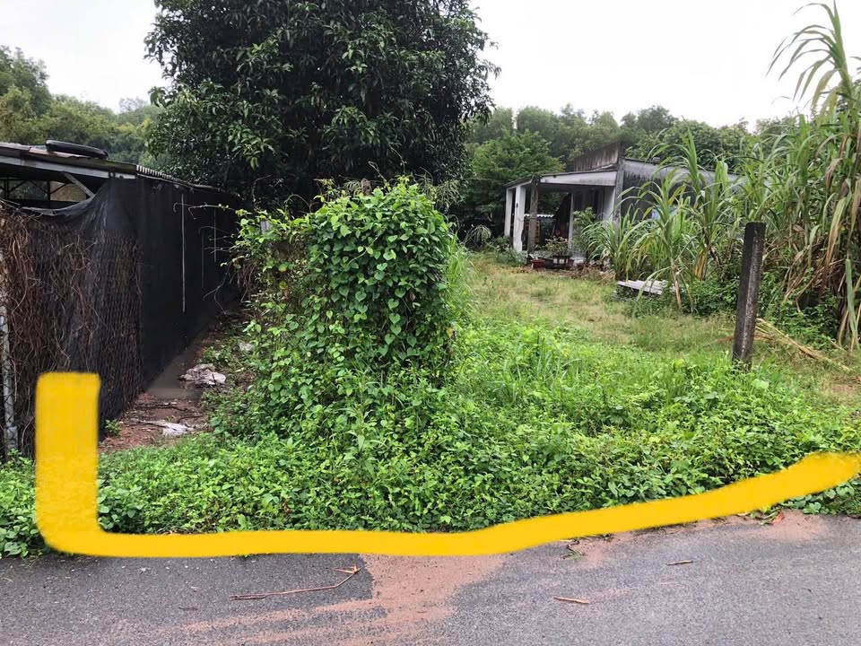 Đất nền Tam Phước Long Thành 260m² - Sổ đỏ chính chủ