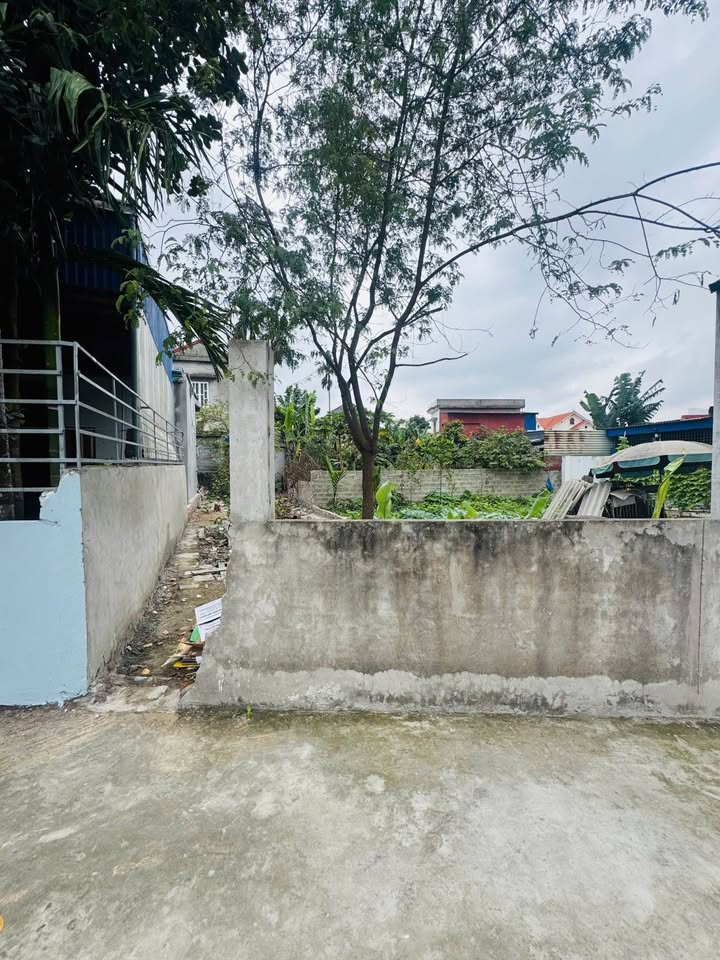 Đất nền Phường Bắc Sơn, Kiến An, 70m² - Giá 1.1 tỷ, sát chợ, hiếm có!