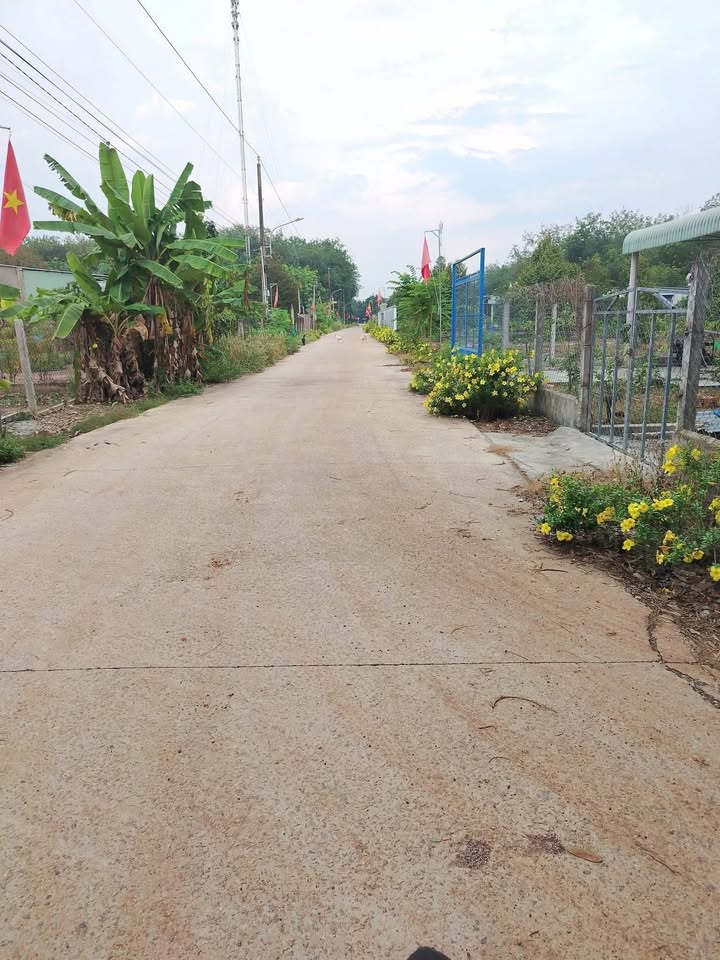 Đất nền Phú Giáo Bình Dương 700m² - Sổ đỏ sẵn sàng, giá chỉ 1 tỷ