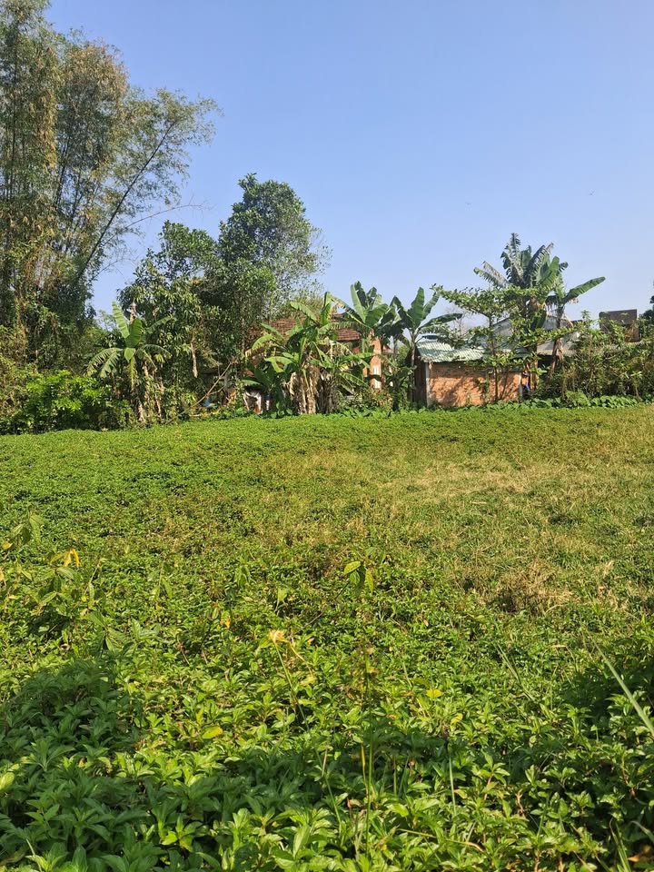 Đất Nền Thăng Bình 111m² - Sổ Đỏ Sẵn Sàng, Giá Tốt Đầu Tư