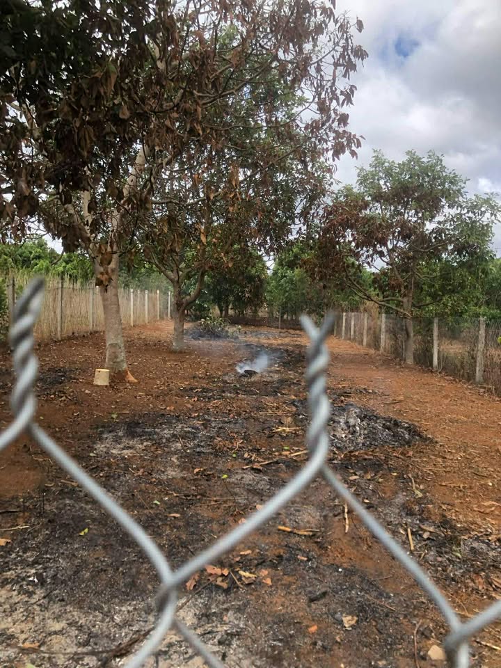 Đất Nam Ban 350m² Sổ Đỏ Thổ Cư 100% - Giá Đầu Tư 1.779 Tỷ