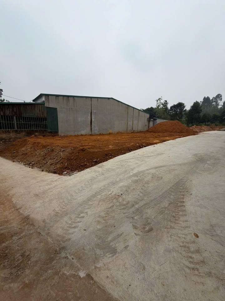 Đất nền Vân Phú (Việt Trì) 99.7m² - Sổ đỏ chính chủ, giá đầu tư