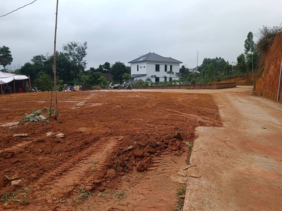 Bán đất Thanh Đình Việt Trì 100m² giá 600 triệu - Sổ đỏ chính chủ!