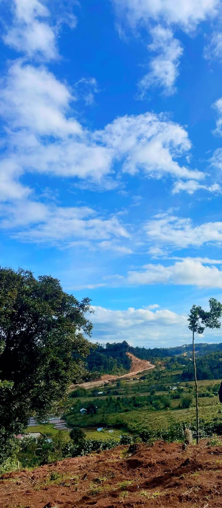 Đất nền Măng Đen 1200m² giá 1 tỷ - Sổ đỏ sẵn sàng