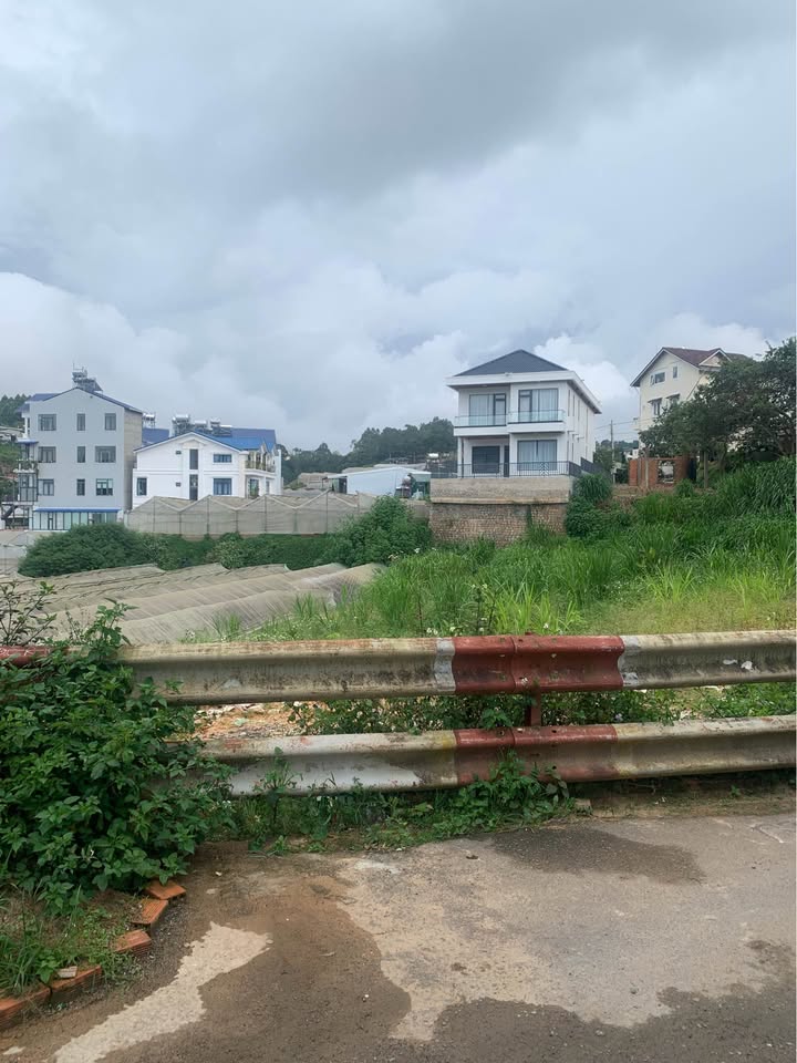 Đất thổ cư Nguyễn Đình Quân Đà Lạt 1017m² - Vị trí đẹp, sổ hồng sẵn