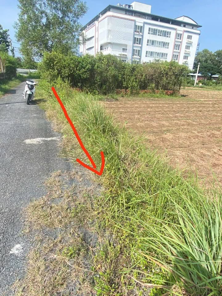 Bán 3 Nền Đất Mặt Tiền Nhựa 65m² Giá 340 Triệu/Nền Tại Phường Hoà Thuận, Trà Vinh