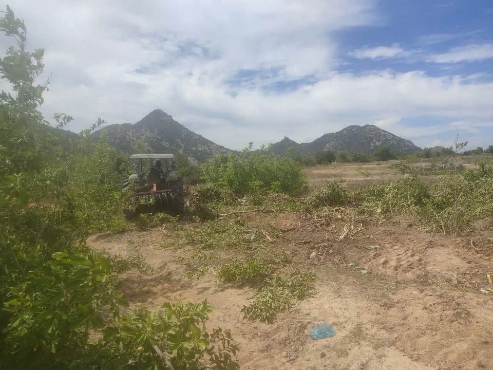 Đất Nền 20.000m² Thuận Nam, Ninh Thuận - Sổ Đỏ Chính Chủ, Tiềm Năng Sinh Lời Cao