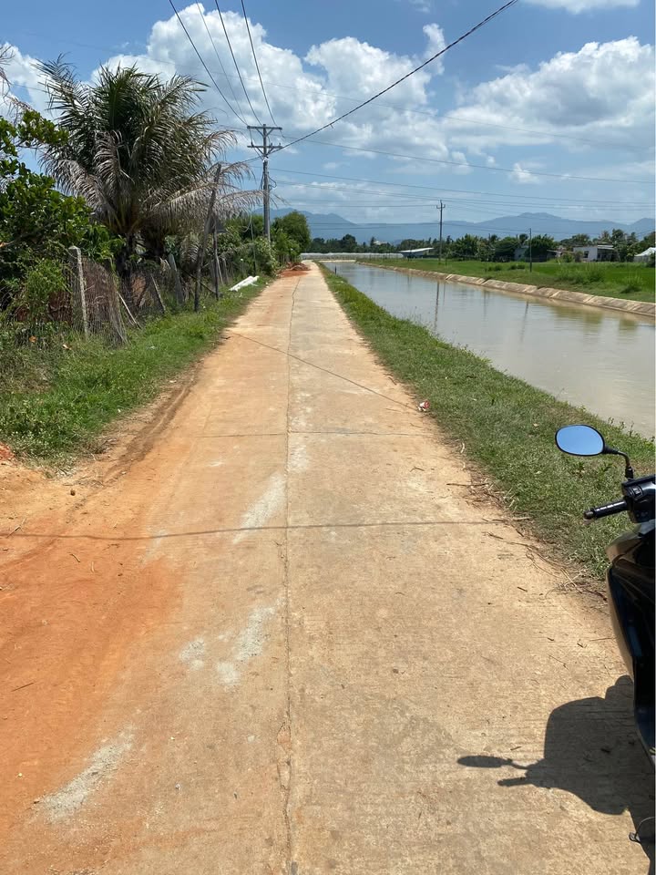 Bán Đất Vườn Ninh Thuận 4200m² Giá Tốt - Sẵn Sổ Đỏ