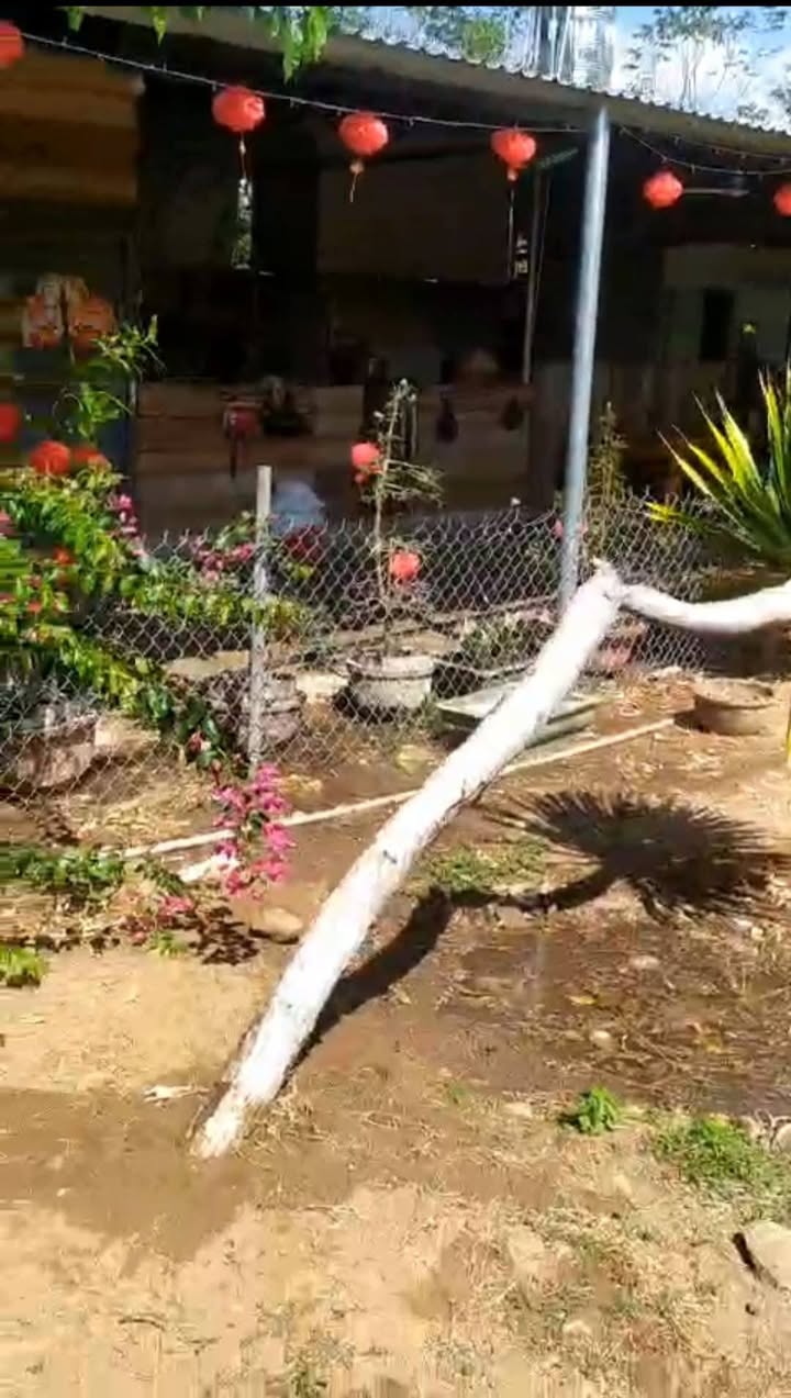 Farm tâm huyết 43.000m² tại Ninh Thuận - Giá 5.5 tỷ - Sẵn sàng kinh doanh