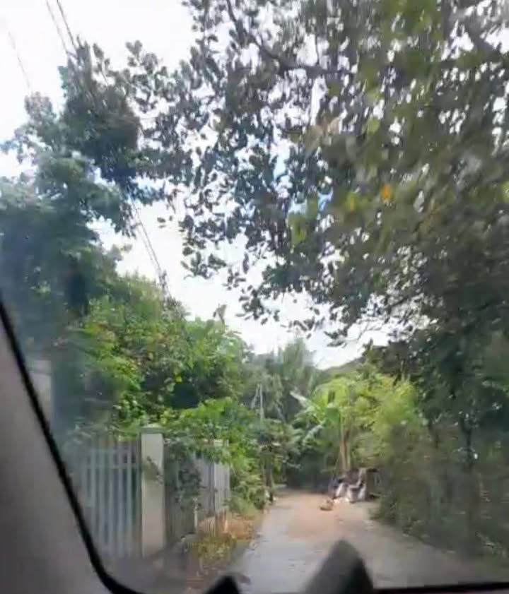 Đất Nền Vườn Trái Cây 150m² Bình Ba, Châu Đức - Sổ Thổ Cư, Giá 1.8 Tỷ