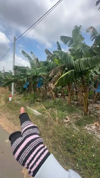 Đất Vàng Châu Đức 1060m² - Sổ Đỏ Thổ Cư, Giá Chỉ 1.8 Tỷ