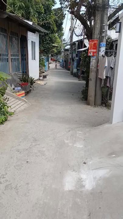 Thuê nhà nguyên căn Mỹ Hòa Long Xuyên 2PN giá 4.5 triệu - Sẵn sàng ở ngay!