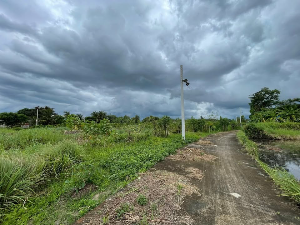 Đất nền sổ hồng 3000m² Phường 5, TP. Tân An - Đầu tư sinh lời hấp dẫn