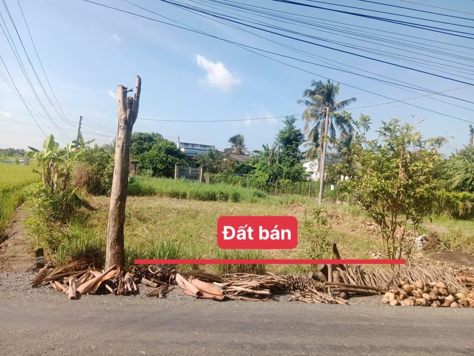 Bán Gấp Đất Vườn 305m² Mặt Tiền Lương Văn Bang, TP Tây Ninh - Giá 1.3 Tỷ