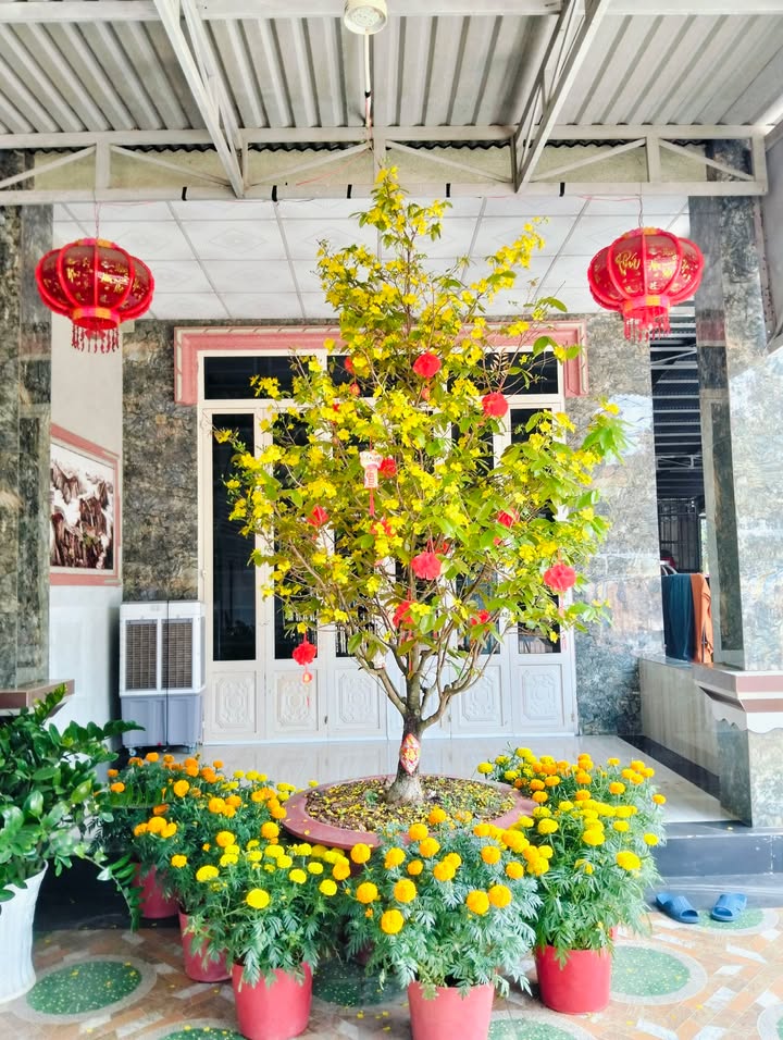 Bán Đất Vườn 1000m² Gần Chợ Hòa Bình, Tây Ninh - Giá Đầu Tư 2 Tỷ